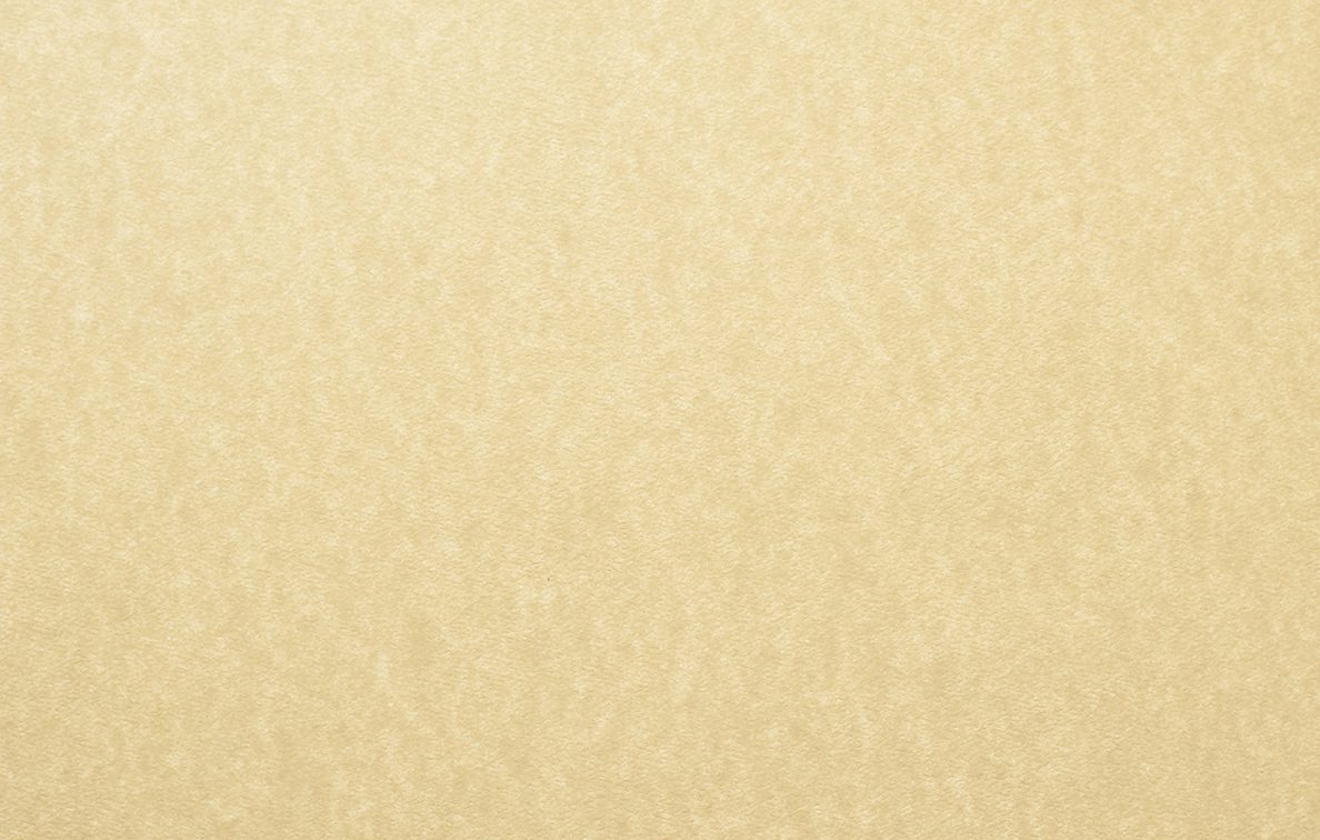 A textured beige or light tan surface with subtle variations in color, A decorative for the Honey Salt restaurant website.